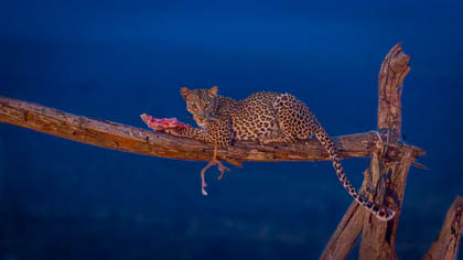 20130805_Kenya_362.jpg