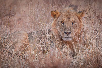 20130807_Kenya_019.jpg