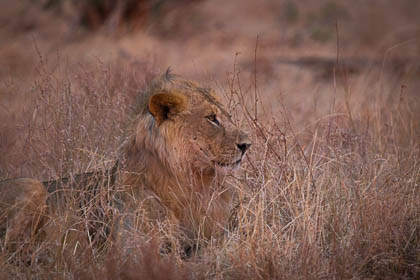 20130807_Kenya_026.jpg