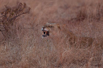 20130807_Kenya_041.jpg