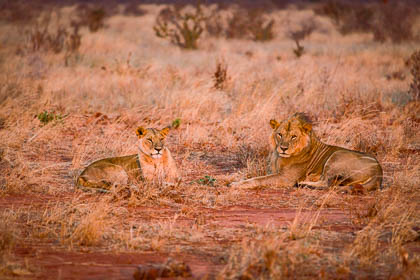 20130807_Kenya_069.jpg