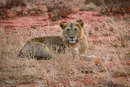 20130807_Kenya_106.jpg