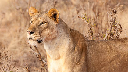 20130807_Kenya_199.jpg