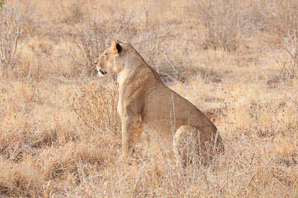 20130807_Kenya_206.jpg