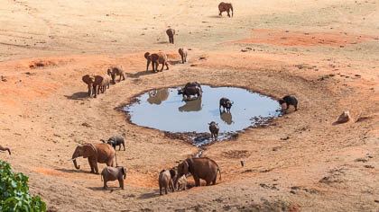 20130807_Kenya_222.jpg