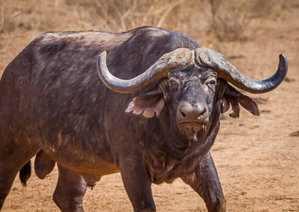 20130807_Kenya_276.jpg
