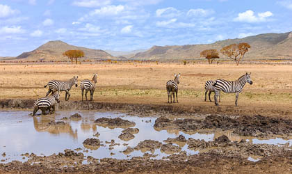 20130807_Kenya_291.jpg