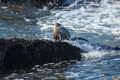 20150807_South_Africa_733.jpg