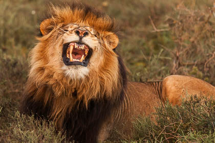 20150810_South_Africa_1164.jpg