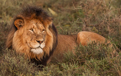 20150810_South_Africa_1167.jpg