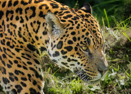 20240814_Chester-Zoo_012.jpg
