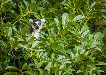 20241114_chester-zoo_200.jpg