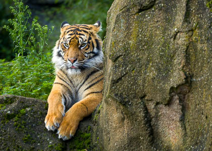 20241114_chester-zoo_206.jpg
