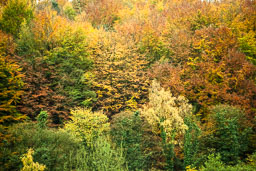 20091027_Cromford_025.jpg