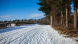 20100106_Delemere-Snow_010.jpg