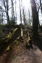 20120325_biddulph-grange_009.jpg