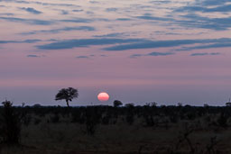 20130807_Kenya_012.jpg