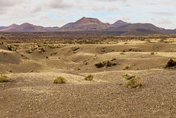 20180223_lanzarote_057-E.jpg