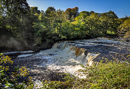 20231012_Aysgarth-Falls_006.jpg