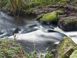 20231206_Haworth-Yorks_004_E.jpg