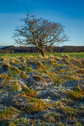 20231206_Haworth-Yorks_011_E.jpg