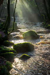 20231206_Haworth-Yorks_031_E.jpg