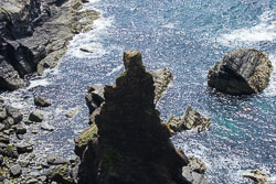 20110630_SouthStack_018.jpg