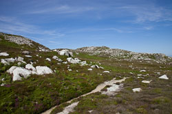 20110703_SouthStack_004.jpg