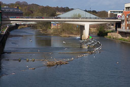 20120331_Durham_005.jpg