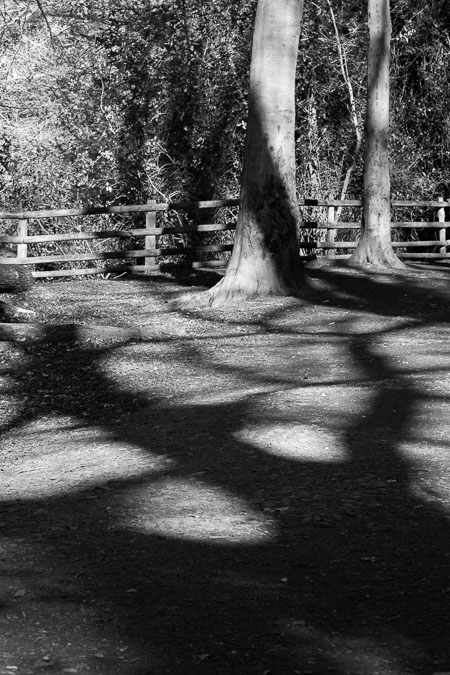 20120325_biddulph-grange_003.jpg